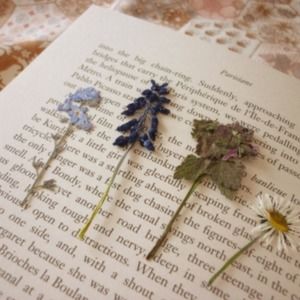 Meet your Posher, Yujin